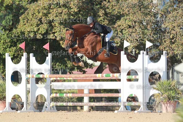 SAVIO_ORO PURO_GIO CAV 2011_SS3_6384.jpg